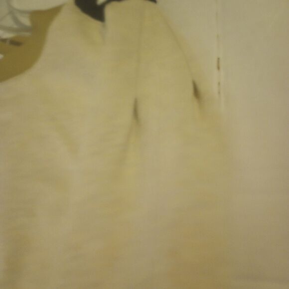 Pleated sleeve sweatshirt with crochet accent on back - Picture 6 of 9